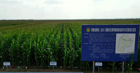 定边县科技赋能 助力旱作节水农业提档升级