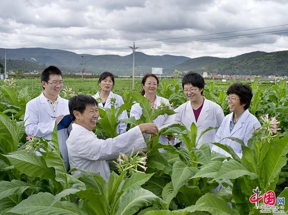 云南省烟草农业科学研究院科技创新 引领烟草产业发展
